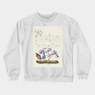 Antique 16th Century Calligraphy with Insects and Flora Crewneck Sweatshirt